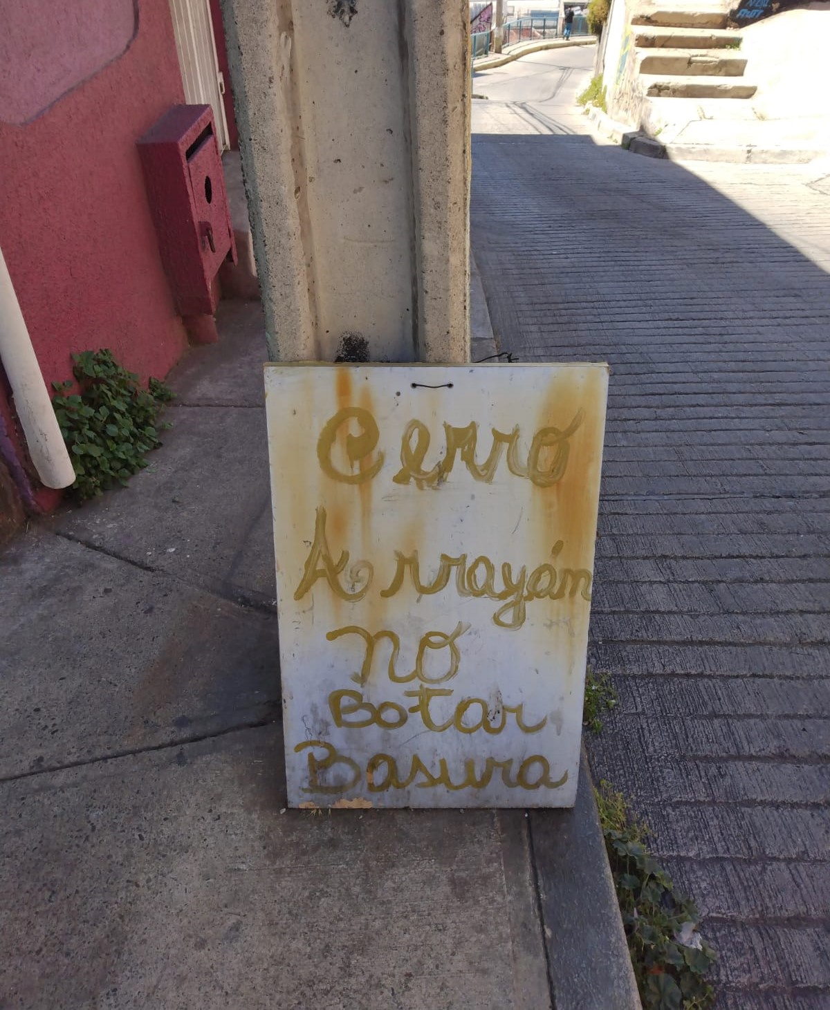 WhatsApp Image 2023-11-07 at 11.35.01